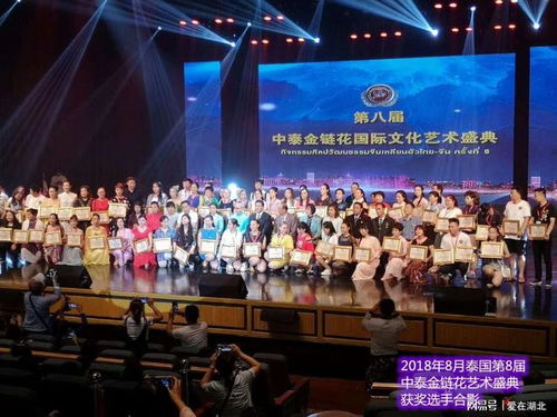 第九屆中國藝術新星國際文化藝術節(jié)湖北選區(qū)海選報名登記